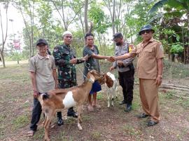 Penyaluran Bantuan Ternak Untuk 10 Kelompok