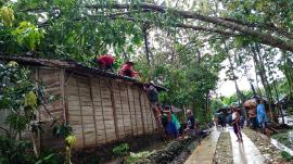 Pohon Besar Tumbang Timpa Rumah Warga